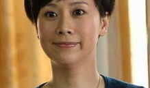 海青主演的电视剧大全,电视剧作品全览